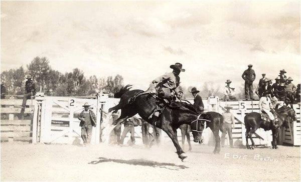 Rodeo Cowboy on Bucking Horse Print