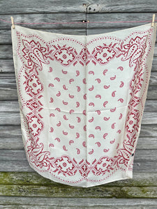 Wild Rag Scarves