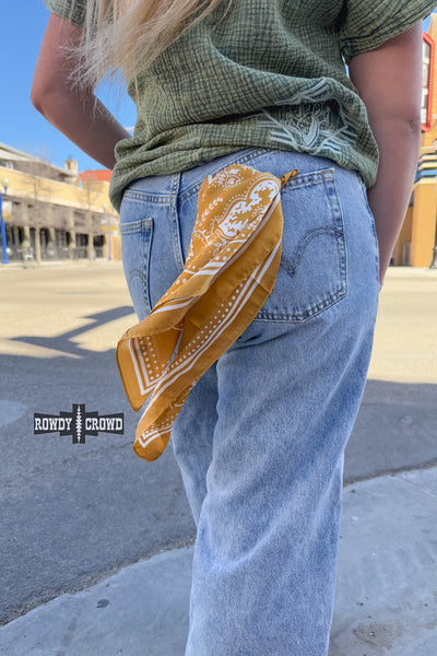 DS SMALL Buffalo Bandana Wild Rags
