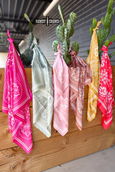 DS SMALL Buffalo Bandana Wild Rags