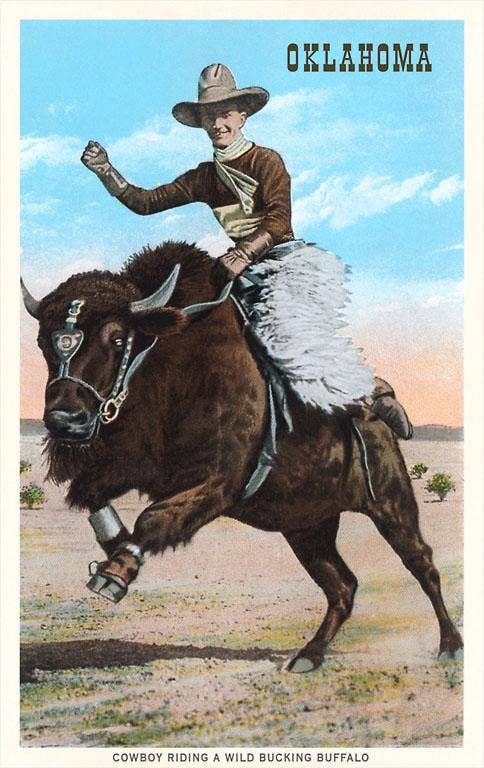 Cowboy Riding Buffalo Oklahoma Card